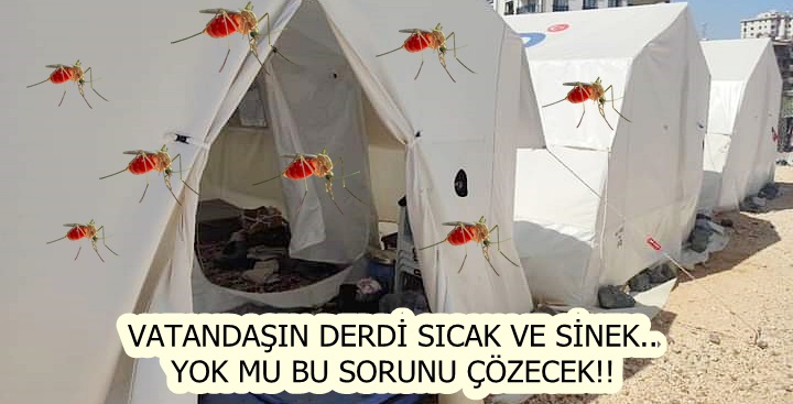 VATANDAŞIN DERDİ SICAK VE SİNEK.. YOK MU BU SORUNU ÇÖZECEK!!