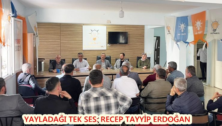 Yayladağı tek ses: Recep Tayyip Erdoğan