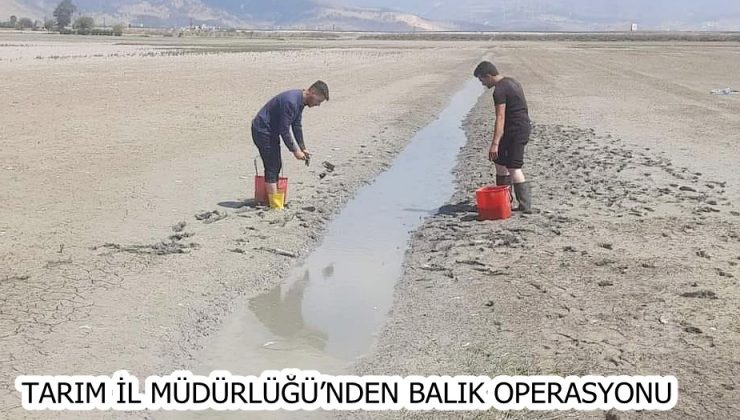 TARIM İL MÜDÜRLÜĞÜ’NDEN BALIK OPERASYONU