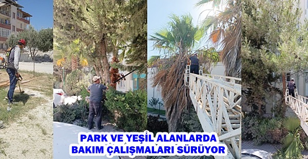 PARK VE YEŞİL ALANLARDA BAKIM ÇALIŞMALARI SÜRÜYOR