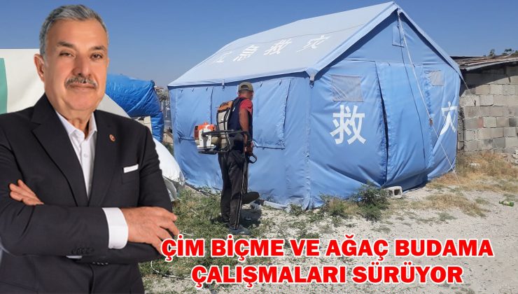 ÇİM BİÇME VE AĞAÇ BUDAMA ÇALIŞMALARI SÜRÜYOR