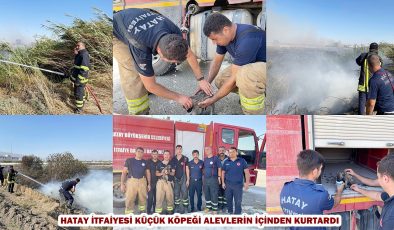 HATAY İTFAİYESİ KÜÇÜK KÖPEĞİ ALEVLERİN İÇİNDEN KURTARDI