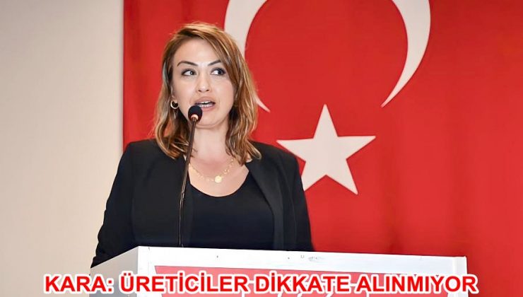 KARA: ÜRETİCİLER DİKKATE ALINMIYOR