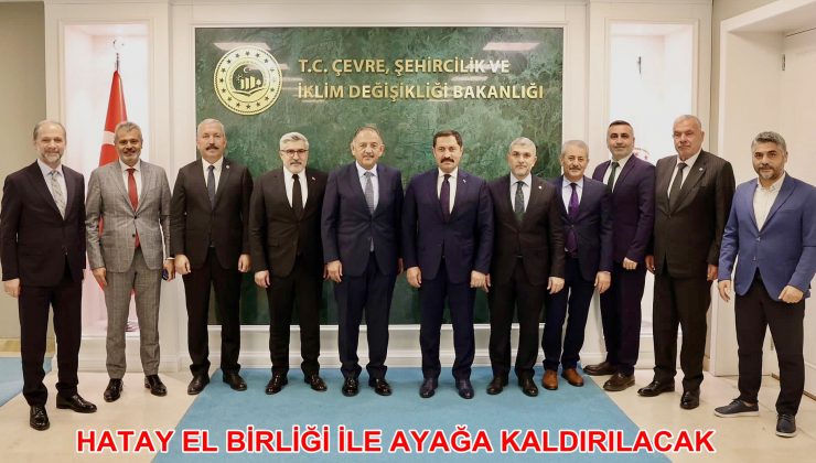 HATAY EL BİRLİĞİ İLE AYAĞA KALDIRILACAK