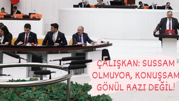 ÇALIŞKAN: SUSSAM OLMUYOR, KONUŞSAM GÖNÜL RAZI DEĞİL!