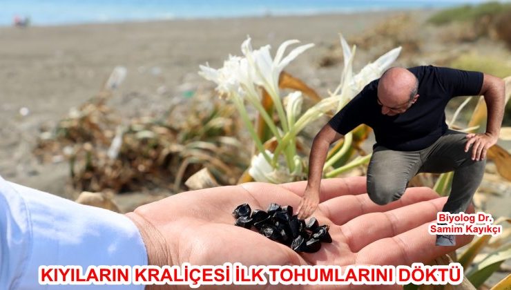 KIYILARIN KRALİÇESİ İLK TOHUMLARINI DÖKTÜ