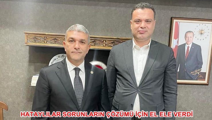 HATAYLILAR SORUNLARIN ÇÖZÜMÜ İÇİN EL ELE VERDİ