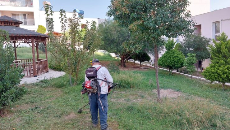 DAHA YEŞİL BİR SAMANDAĞ İÇİN ÇALIŞMALAR SÜRÜYOR