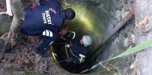 Arsuz’da kuyuya düşen yavru köpeği itfaiye kurtardı