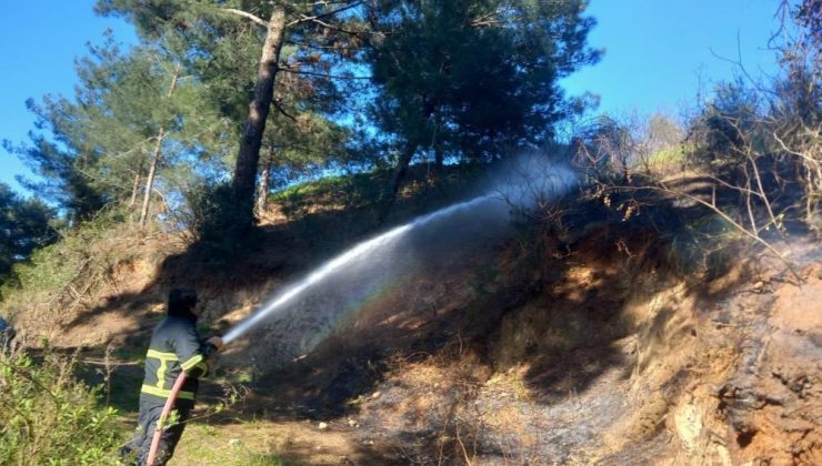 Belen’de ormanlık alanda çıkan yangın söndürüldü