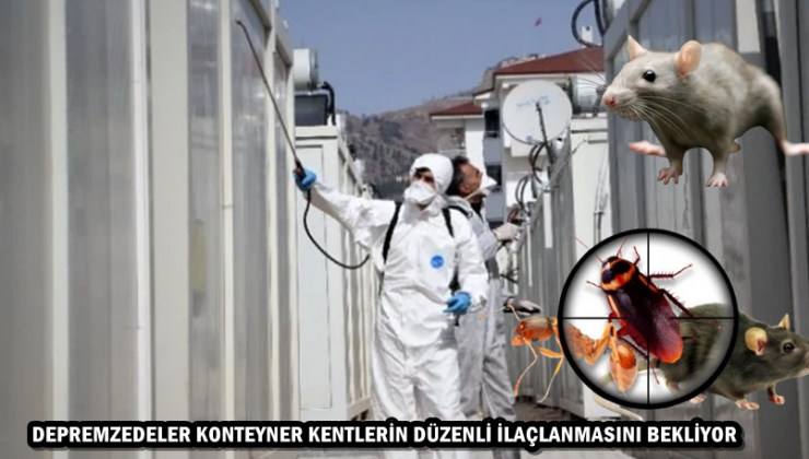 DEPREMZEDELER KONTEYNER KENTLERİN DÜZENLİ İLAÇLANMASINI BEKLİYOR