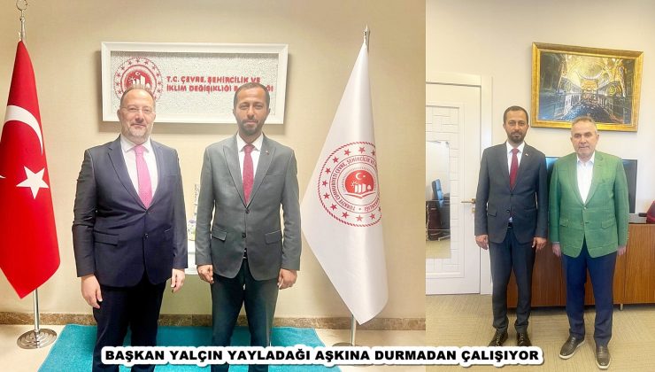 BAŞKAN YALÇIN YAYLADAĞI AŞKINA DURMADAN ÇALIŞIYOR