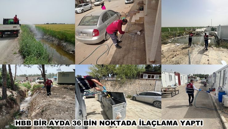 HBB BİR AYDA 36 BİN NOKTADA İLAÇLAMA YAPTI