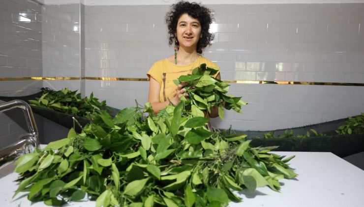 10 YILLIK MESLEĞİNİ BIRAKAN KADIN, ALDIĞI DEVLET DESTEĞİYLE KENDİ İŞİNİN PATRONU OLDU