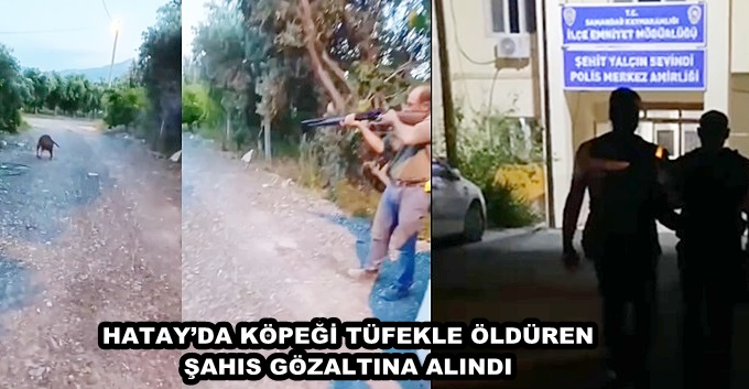 Hatay’da köpeği tüfekle öldüren şahıs gözaltına alındı