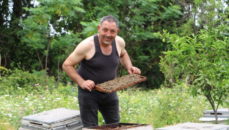 ‘Arılarım beni tanıyor’ diyen arıcı, yaptığıyla binlerce arıya meydan okuyor