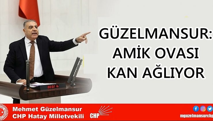 GÜZELMANSUR: AMİK OVASI KAN AĞLIYOR