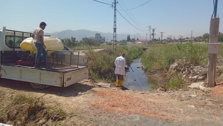 ANTAKYA BELEDİYESİ EKİPLERİ, HBB’NİN İLAÇLAMA ÇALIŞMALARINA DESTEK VERDİ