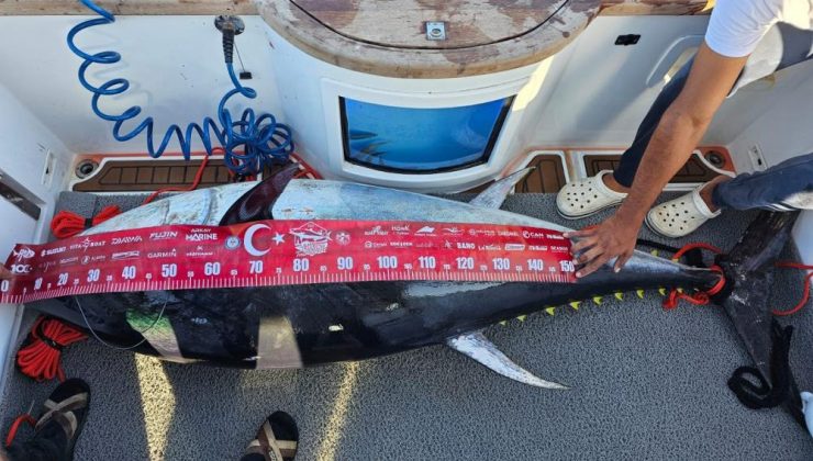 154 kiloluk devasa orkinosu 4 kişi, 1 saatlik mücadeleyle yakalamayı başardı