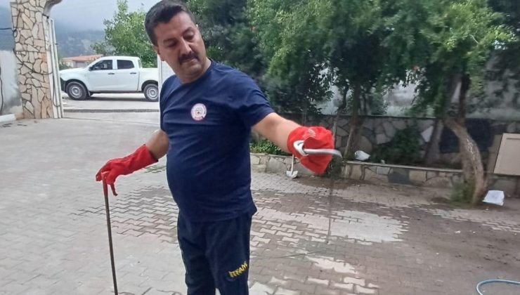 Hatay’da kız öğrenci yurduna giren yılan çıkarıldı