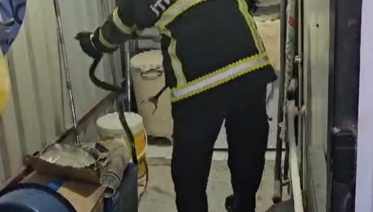KONTEYNERE GİREN YILAN YAKALANDI