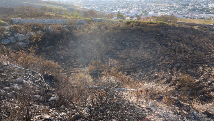 ANTAKYA VE ARSUZ’DAKİ OT YANGINLARI SÖNDÜRÜLDÜ