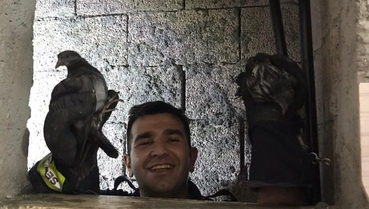 APARTMAN BOŞLUĞUNA DÜŞEN KUŞLAR KURTARILDI