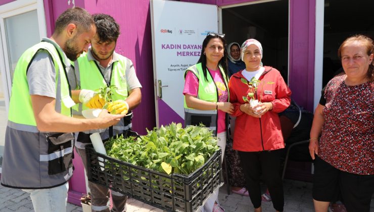 BÜYÜKŞEHİR, VATANDAŞLARA FİDE DAĞITTI