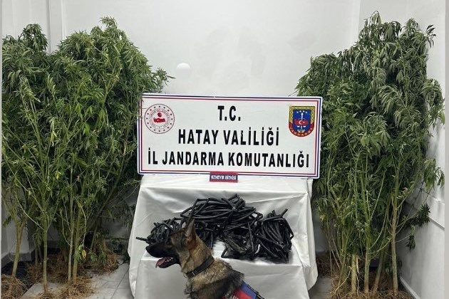 JANDARMA 37 ŞAHIS HAKKINDA İŞLEM YAPTI  