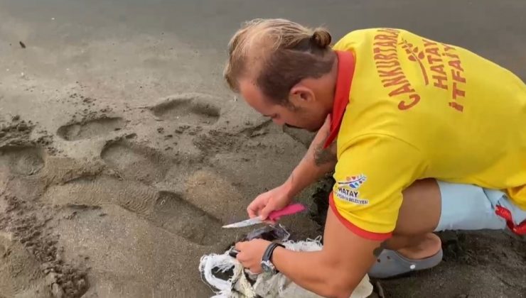 ÇUVALA DOLANAN CARETTA CARETTA KURTARILDI 
