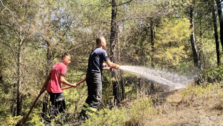 YAYLADAĞI’NDA ÖRTÜ YANGINI  