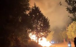 AĞAÇLIK ALANDA ÇIKAN YANGIN SÖNDÜRÜLDÜ  