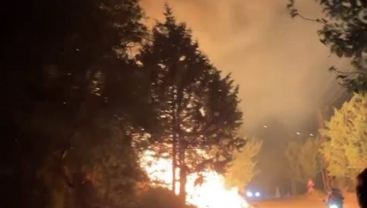 AĞAÇLIK ALANDA ÇIKAN YANGIN SÖNDÜRÜLDÜ  