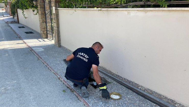 MAZGALDA MAHSUR KALAN KÖPEK  KURTARILDI  