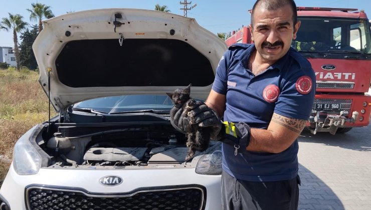 ARAÇ MOTORUNA SIKIŞAN KEDİYİ İTFAİYE KURTARDI  