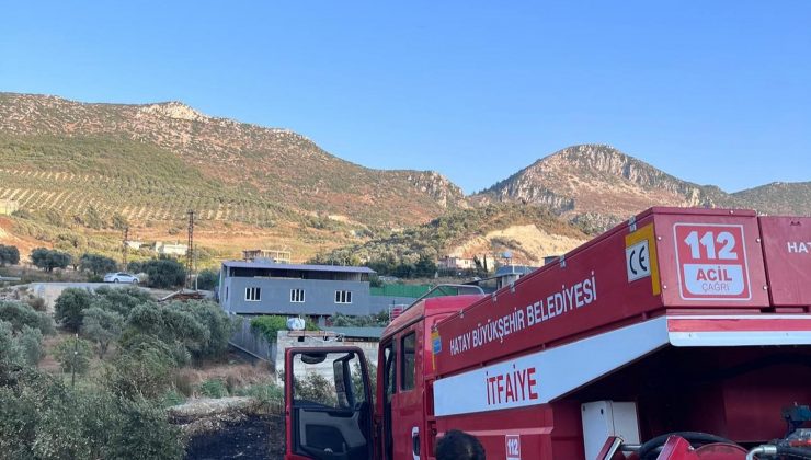 ZEYTİNLİK ALANINDAKİ YANGIN SÖNDÜRÜLDÜ