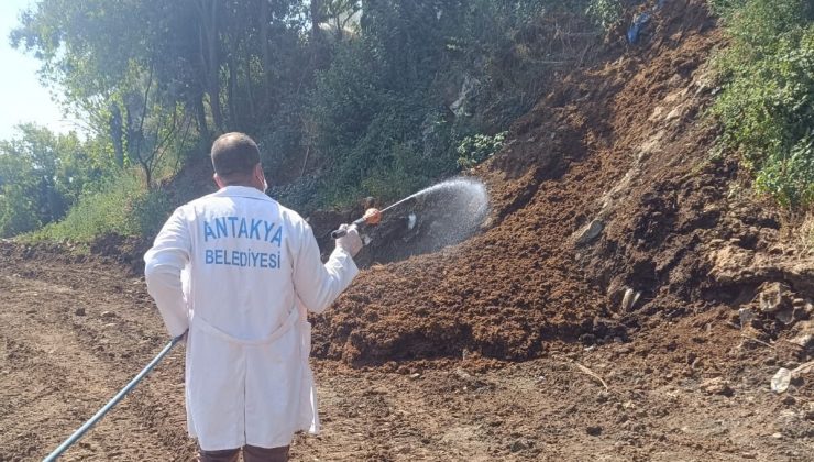 UÇKUNLA MÜCADELE ÇALIŞMASI SÜRÜYOR