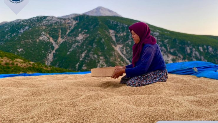 YAYLADAĞI FOTOĞRAF YARIŞMASI SONUÇLANDI