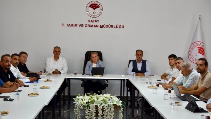 HATAY’DAKİ TARIM ARAZİLERİ KORUNACAK