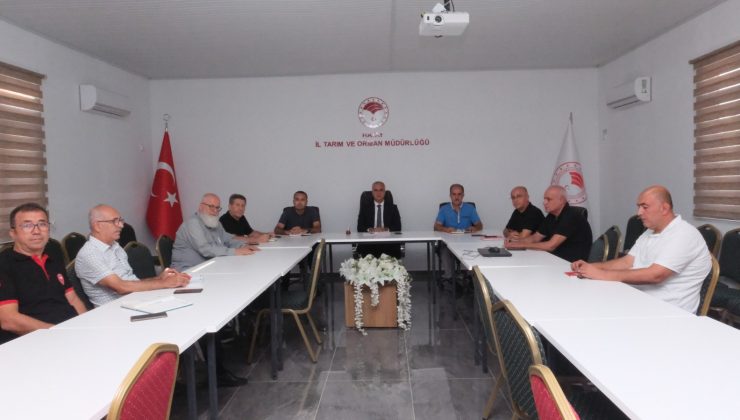 HATAY TARIMI MASAYA YATIRILDI