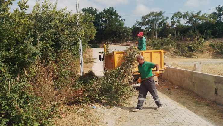 BAŞKAN ÖZGÜN’ÜN GECESİ GÜNDÜZÜ DEFNE