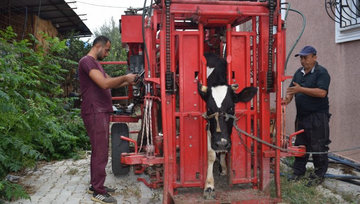 “SAĞLIKLI HAYVAN, SAĞLIKLI ÜRÜN VERİR”