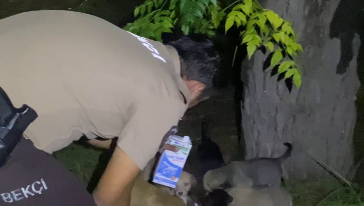 YAVRU KÖPEKLERİ DOYURAN BEKÇİLER YÜREKLERİ ISITTI  