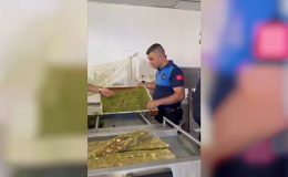 BELEDİYE DENETİMİNE TAKILAN ÜÇ İŞLETME MÜHÜRLENDİ