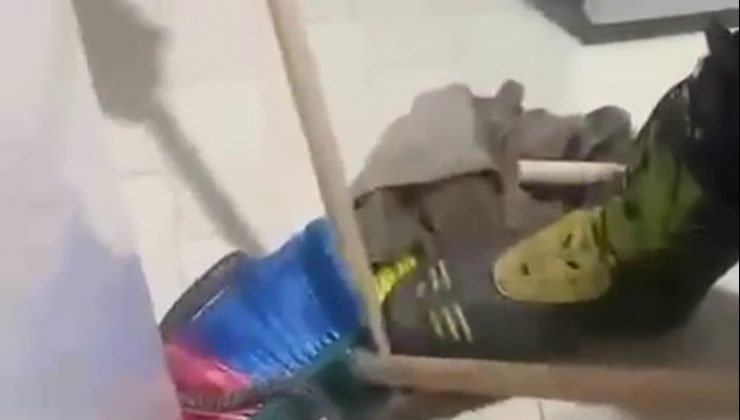 BUZDOLABININ ALTINA SAKLANAN YILANI İTFAİYE YAKALADI  