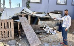 DEPREMZEDE VATANDAŞIN 22 KÜÇÜKBAŞ HAYVANINI ÇALDILAR