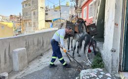 ARAÇ GİREMEYEN SOKAKLARIN TEMİZLİĞİ KIROĞLAN’DAN SORULUYOR