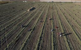 HASADININ GERİ KALANINI VATANDAŞA BIRAKINCA DUYAN AKIN ETTİ