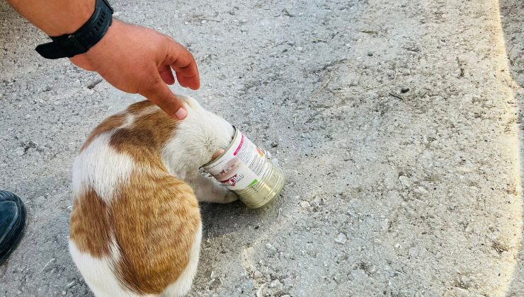 KAFASINI KONSERVE KUTUSUNA SIKIŞTI  
