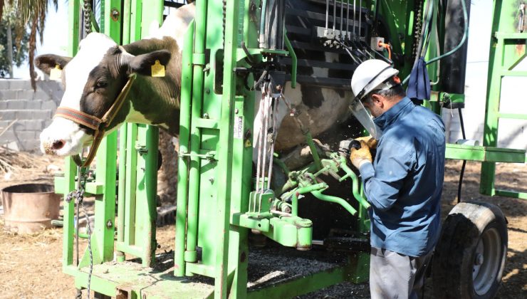 HBB’DEN ÜCRETSİZ TIRNAK BAKIMIYLA HAYVANCILIĞA DESTEK